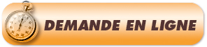 demande en ligne